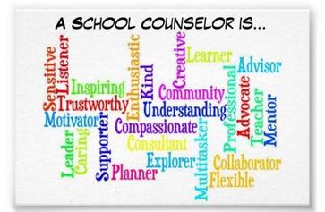 A School Counselor